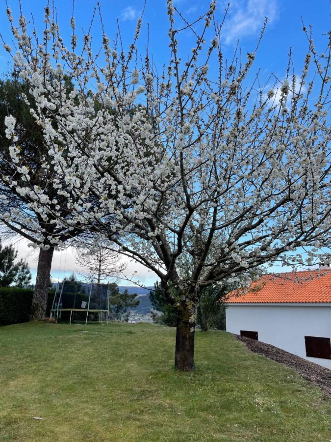 הוילה Baião Casa Catita - Douro מראה חיצוני תמונה